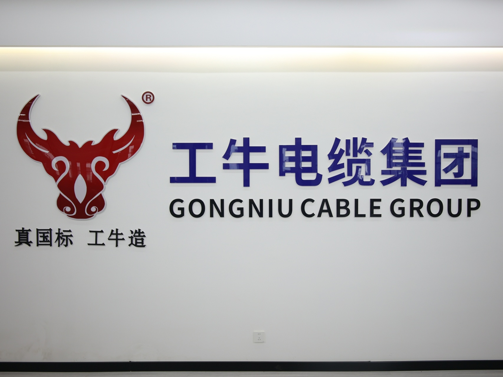 关于我们的图片1