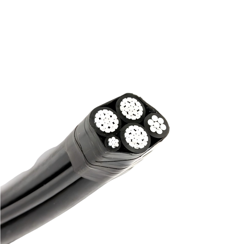 CAAI-S Cable