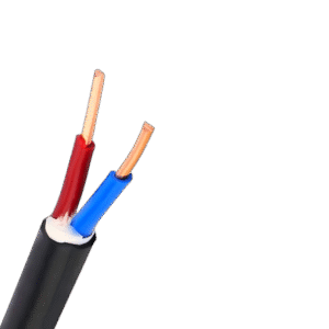XLPE Insulated 10mm2 2 Cores Copper Cable 2x10mm2