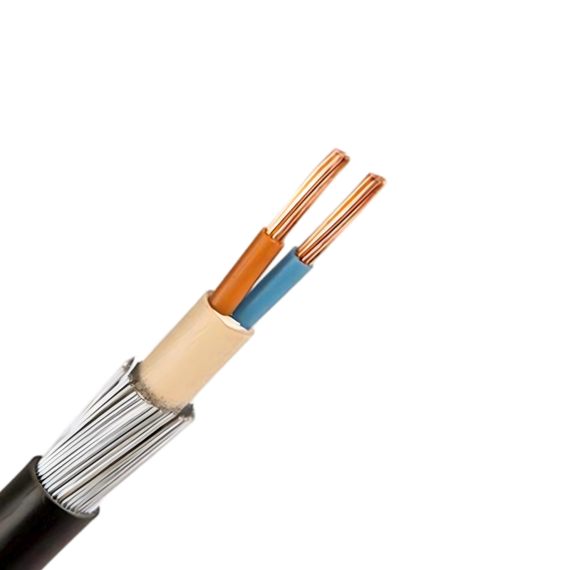 25mm 2 Core Steel Wire Armoured SWA Cable